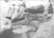 Mrs. Johnson Astride a Dead Crocodile