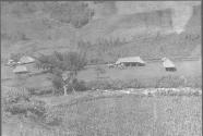 Fishing Camp on Goura River