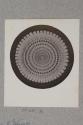 Spine of Echinus, transverse section, 21X