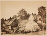 Corner of a Farm