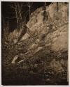 [Wooded hillside]