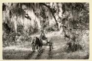 Southern farmer and son