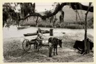 Man and child at waterside in South