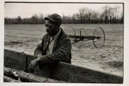 [Man standing by side of field, horse rake in field]