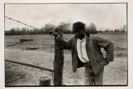 [Young man in field, horse rake]