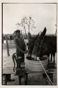 [Boy with two mules]