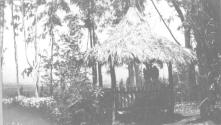 Elizabeth Mathers and Ellen Dryden under hut, California Trip