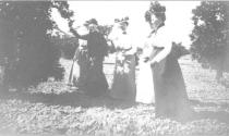 Travel companions picking fruit, California Trip