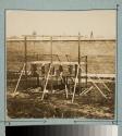 [Conspirator's execution - bodies hanging from scaffold]