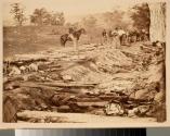 View of ditch which had been used as a rifle-pit at the Battle of Antietam.