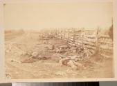 View in the Field, on the west side of the Hagerstown Road, after the Battle of Antietam.