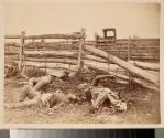View on the Battle-Field [sic] of Antietam.