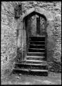 Stairway In Winfield Manor