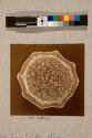 Smilax Sarsaparilla Stem, transverse section, 17X
