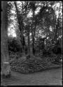 Market Cross Scone Palace