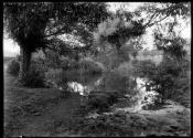 Pond at Cumnor Hall (Amy Robstart's Ghost)
