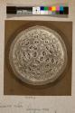 Lapageria Rosea, transverse section, 40X