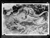 [Prehistoric Animals]
