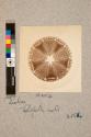 Diatom-Heliopelta metii, X154
