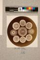Grouped Spines of Sea Urchin, transverse section, 9X