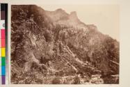 American Fork Canon, Wahsatch