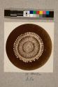 Transverse section of Spine of Echinus, 34X