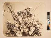 [Flower study]