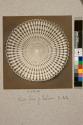 Spine of Echinus, transverse section, 44X