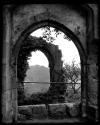 Window In Wingfield Manor