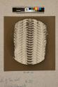 Palate of Earshell, 29X