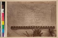 Historic Spanish Record of the Conquest, South Side of Inscription Rock, N. M.