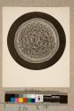 Lapageria Rosea, transverse section, 18X