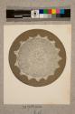 Spine of Echinus, transverse section, 21X
