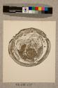 Earthworm: transverse section, 27X