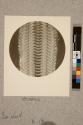 Palate of Earshell, 18X