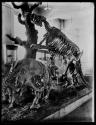 [Prehistoric Animals]