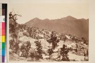 Wahsatch Mountains Summit