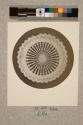 Spine of Echinus, transverse section, 22X