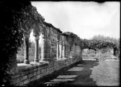 Cloister Arches & Dale Entrance Blackfriars Hereford