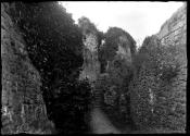 Chepstow On the walls