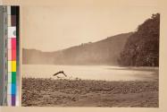 The Terminus of the Proposed Canal,-Limon Bay.