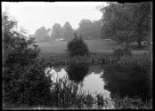 Pond at Cumnor (Amy Robstart's Ghost)