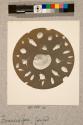 Foraminifera, Grouped, 18X