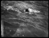 [Elaine Golding, Swimmer]
