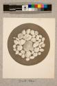 Grouped Foraminifera, 18X