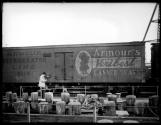 [Freight Cars and Trains]