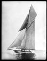 [Lipton's Yacht 'Shamrock']
