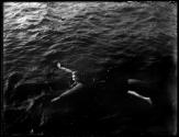 [Elaine Golding, Swimmer]