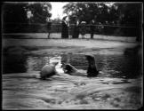 [Sea Lions]