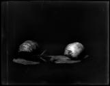 [Snails]